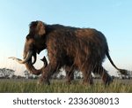 A 3D illustration of a Woolly Mammoth walking across a field in the sunset.