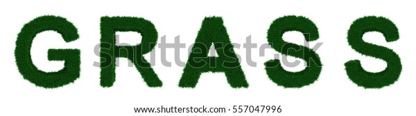 3d Illustration Word Grass Grass Texture Stock Illustration 557047996 ...