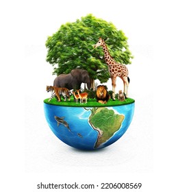 3d illustration world wildlife Animal's on earth, oilpaint concept, environment day, World Habitat, wildlife day, 3rd March, 21th, world day of endangered species, world Forest and biodiversity day, - Shutterstock ID 2206008569