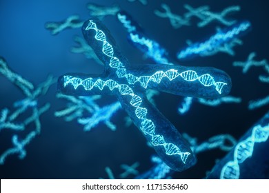 3D illustration X-Chromosomes with DNA carrying the genetic code. Genetics concept, medicine concept. Future, genetic mutations. Changing the genetic code at the biological level.