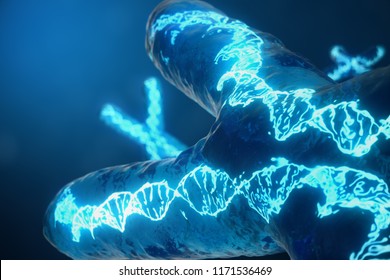 3D illustration X-Chromosomes with DNA carrying the genetic code. Genetics concept, medicine concept. Future, genetic mutations. Changing the genetic code at the biological level.