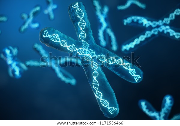 遺伝子コードを持つdnaを持つ3dイラスト のx染色体 遺伝学のコンセプト 医学のコンセプト 未来 遺伝的突然変異 生物学的レベルで遺伝子コードを変える のイラスト素材