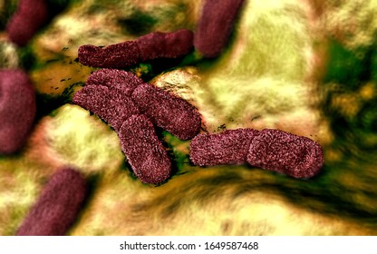 3d Illustration - Yersinia Pestis Bacteria