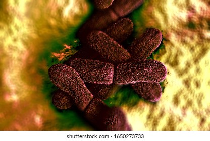 3d Illustration - Yersinia Pestis Bacteria