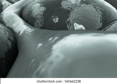3D illustrations of Capillary and cells close-up, field of cells and vein, receptors on the cells surface