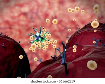 3D Illustrations Of Virus And Antibodies, Coronavirus Atack The Lungs Cell, Human Immune System Attack The Virus, Virus Attack The Cells