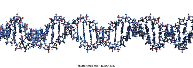 3D image of DNA macromolecule skeletal formula - molecular chemical structure of  deoxyribonucleic acid double helix isolated on white background,
