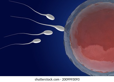 Sperm Shooting