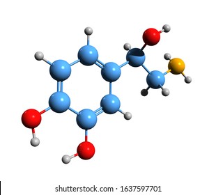 461 Catecholamines Images, Stock Photos & Vectors 