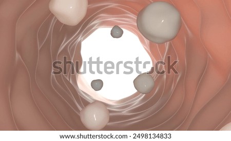 3D inside the large intestines colonoscopy intestinal villi medically accurate 3d render