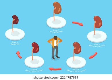 3D Isometric Flat  Conceptual Illustration Of Kidney Disease, Stages Of Renal Failure