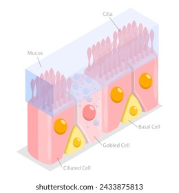 3D Isometric Flat  Conceptual Illustration of Nasal Mucosa Cells, Medical Educational Diagram