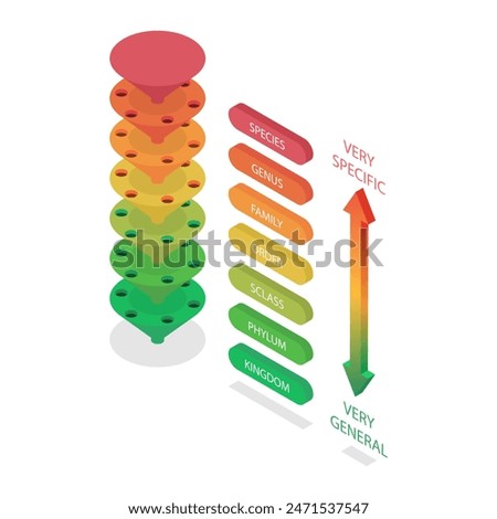 3D Isometric Flat  Illustration of Classification System, Major Taxonomic Ranks