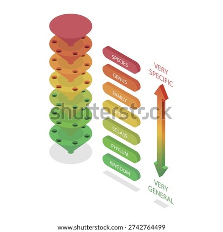 3D Isometric Flat Illustration of Classification System, Major Taxonomic Ranks