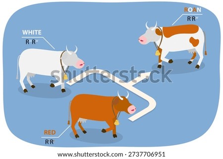 3D Isometric Flat  Illustration of Codominance, Diagram Outlining Inheritance Of Heterozygote Expression With Co-Dominant Alleles