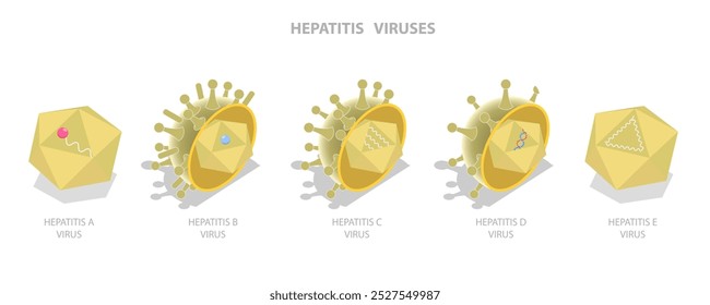 3D Isometric Flat  Illustration of Hepatitis Viruses, Liver Disease - Powered by Shutterstock