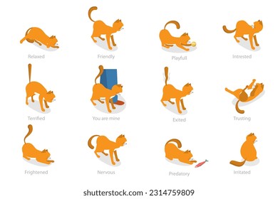 3D Isometric Flat  Set of Cats Behavior Poses, Kitty Reactions