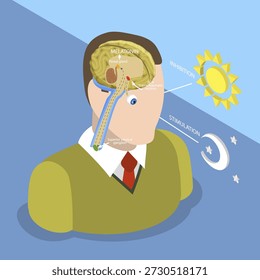 3D Isometric Flat Vector Illustration of Natural Sleep-wake Biological Process, Understanding How Daylight Affects Melatonin Production And Body Clocks In Humans