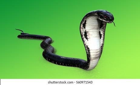 Similar Images, Stock Photos & Vectors of 3d King Cobra Black Snake The ...