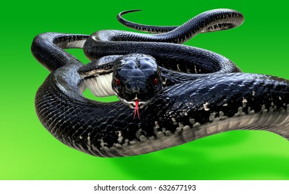 13,582 3d Snake Images, Stock Photos & Vectors | Shutterstock