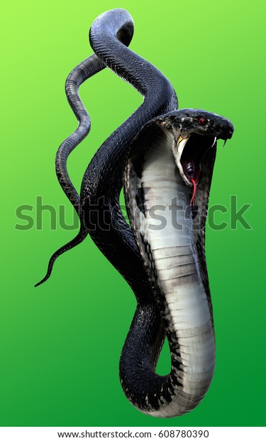 3d King Cobra Black Snake Worlds Stock Illustration