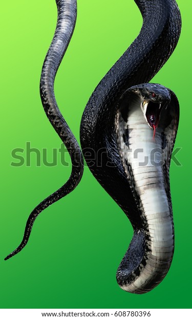 3d King Cobra Black Snake Worlds のイラスト素材