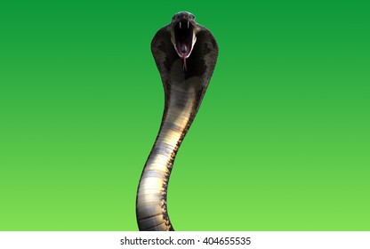3d King Cobra Black Snake Worlds のイラスト素材