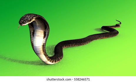 Similar Images, Stock Photos & Vectors of 3d King Cobra Black Snake The ...