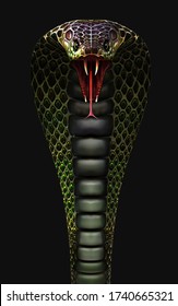 3d King Cobra The World's Longest Venomous Snake Isolated on Dark Background with Clipping Path, King Cobra Snake, 3d Illustration, 3d Rendering