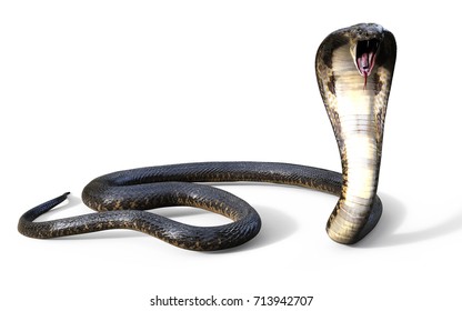 3d King Cobra Worlds Longest Venomous Stock Illustration 713942707