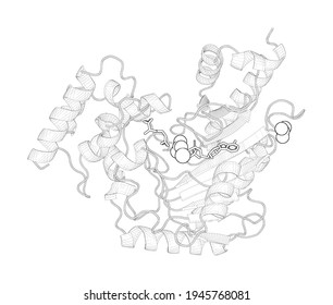 3D Line Drawing Of A Biological Molecule. Transition State Structure Of Arginine Kinase: Implications For Catalysis Of Bimolecular Reactions.