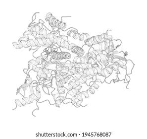 3D line drawing of a biological molecule. Structural Determinations of Phosphoinositide 3-Kinase Inhibition by Wortmannin, Ly294002, Quercetin, Myricetin and Staurosporine