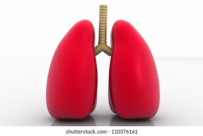 3d Lungs Isolated On White Background