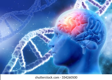 3D medical background with male head with brain and DNA strands
