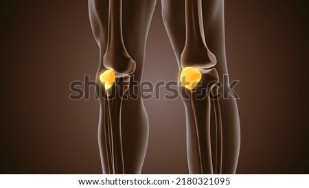 3d Medical concept of pain in the patella ストックフォト © 