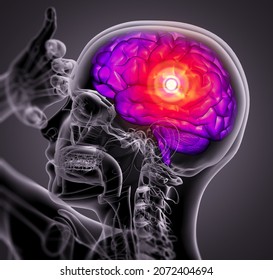 3D Medical Illustration Of The Brain  - Side View