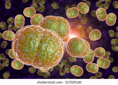 918 Meningococcal Disease Images, Stock Photos & Vectors | Shutterstock