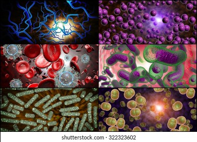 3D Microscope Close Up Of Various Bacteria In Collage Imagery