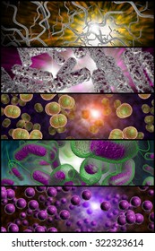 3D Microscope Close Up Of Various Bacteria In Collage Imagery