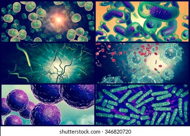 3D Microscope Close Up Of Various Bacteria In Collage Imagery