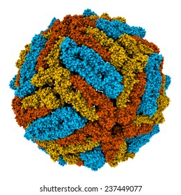 3D model of Dengue virus