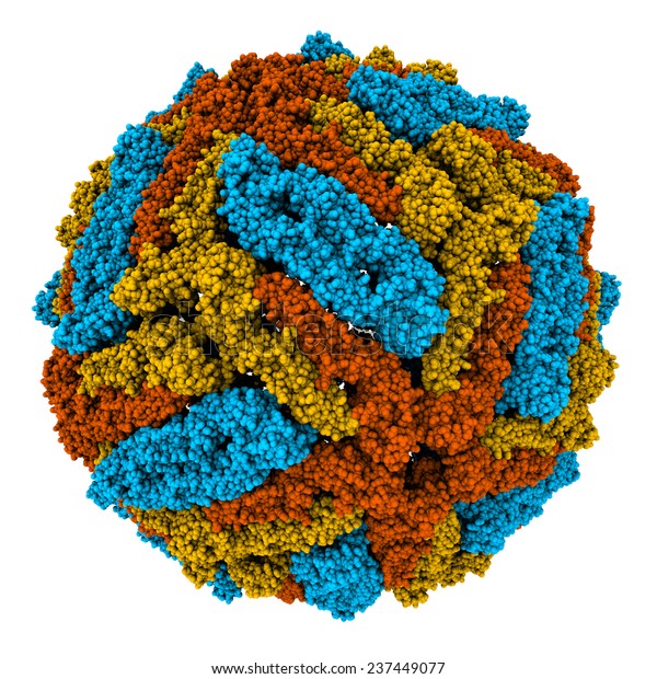 3d Model Dengue Virus Stock Illustration 237449077