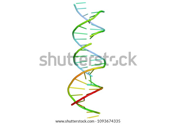 3d Model Dna Structure Biological Macromolecules Stock Illustration