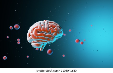 brain models for psychology