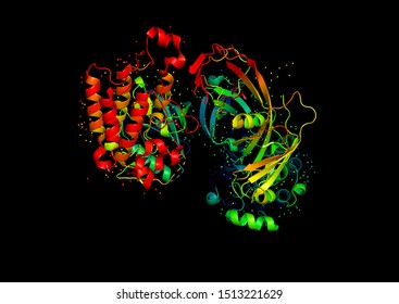 3D Model Of A Protein Molecule. Endothelial Tyrosine Kinase Receptor, A Marker Of Angiogenesis.