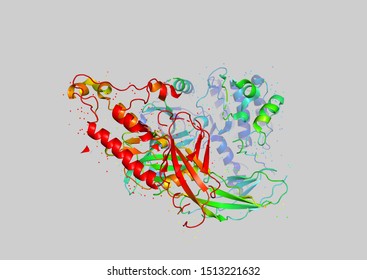 3D Model Of A Protein Molecule. Endothelial Tyrosine Kinase Receptor, A Marker Of Angiogenesis.