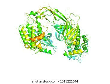 3D Model Of A Protein Molecule. Endothelial Tyrosine Kinase Receptor, A Marker Of Angiogenesis.