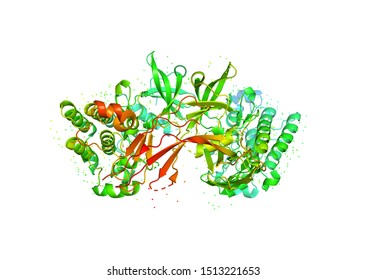 3D Model Of A Protein Molecule. Endothelial Tyrosine Kinase Receptor, A Marker Of Angiogenesis.