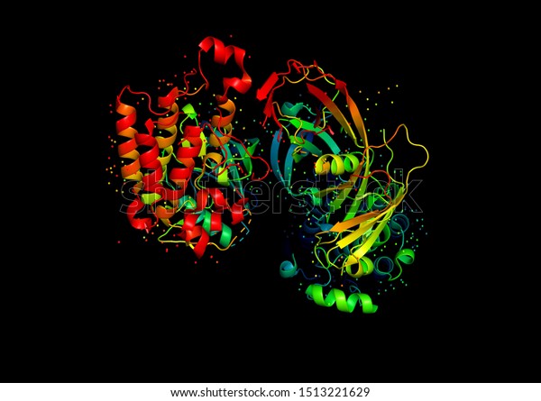 3d Model Protein Molecule Endothelial Tyrosine Stock Illustration