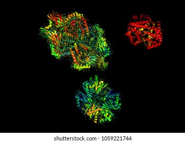 3D Model Of A Protein Molecule. The Spatial Oriented Structure Of The Macromolecule.